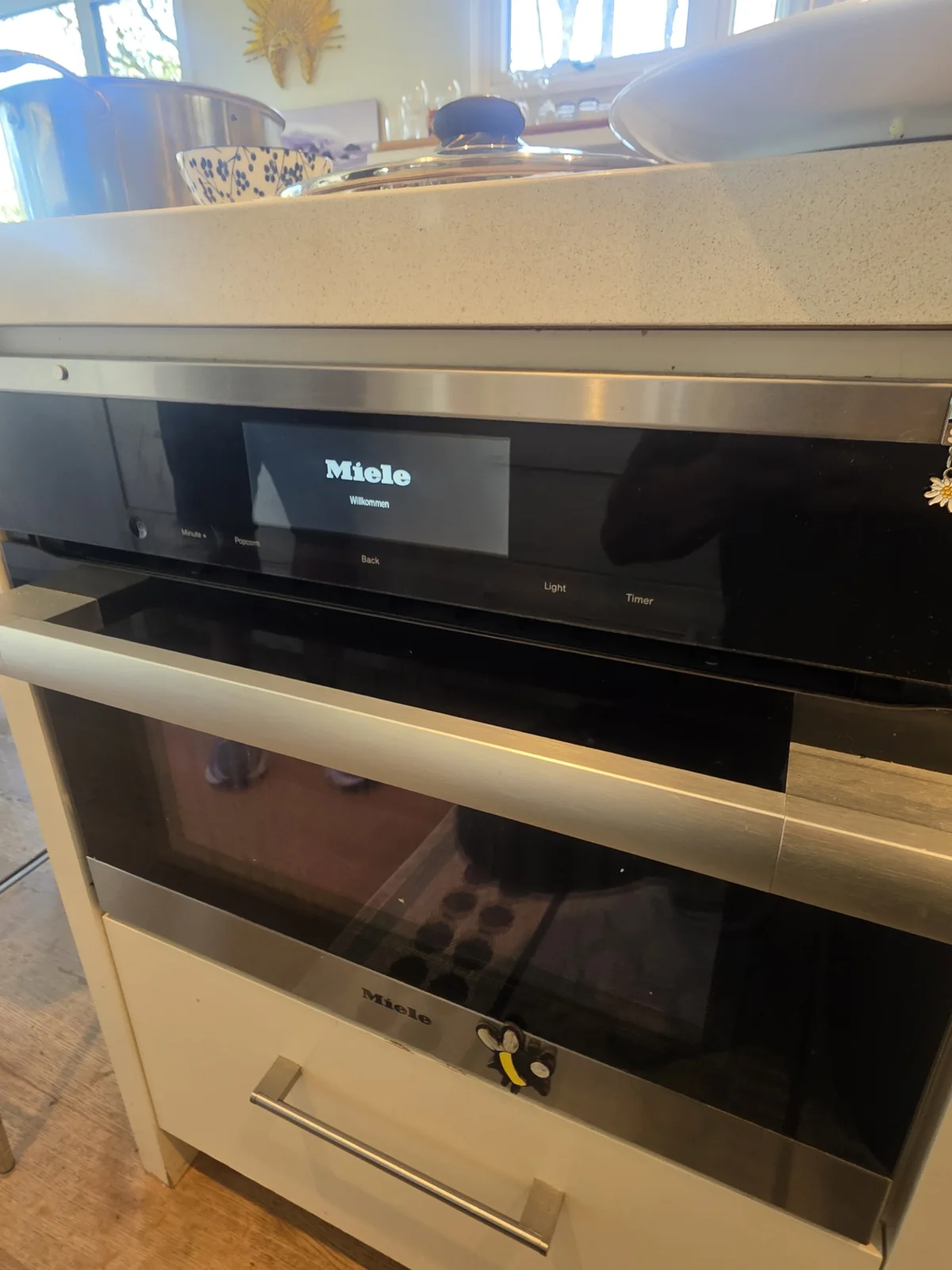 Miele Speed Oven: Control Board Fault
