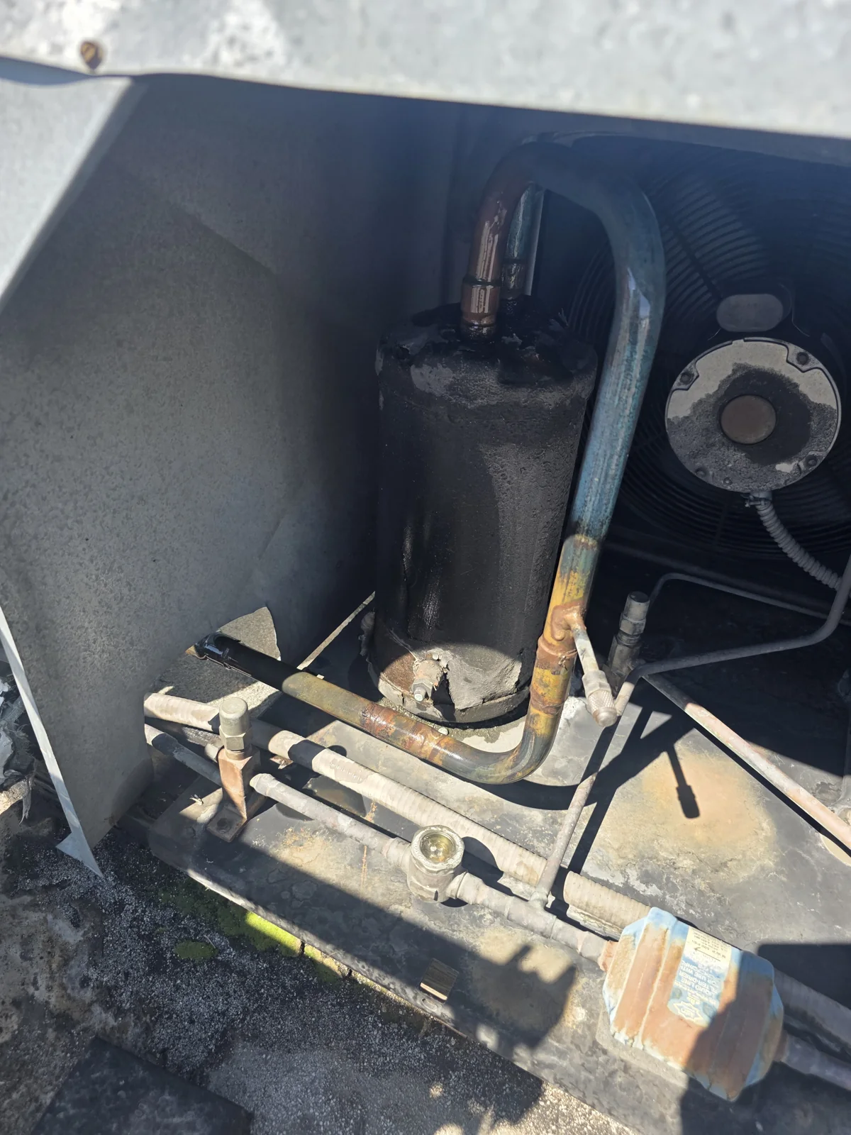 Open compartment showing compressor access